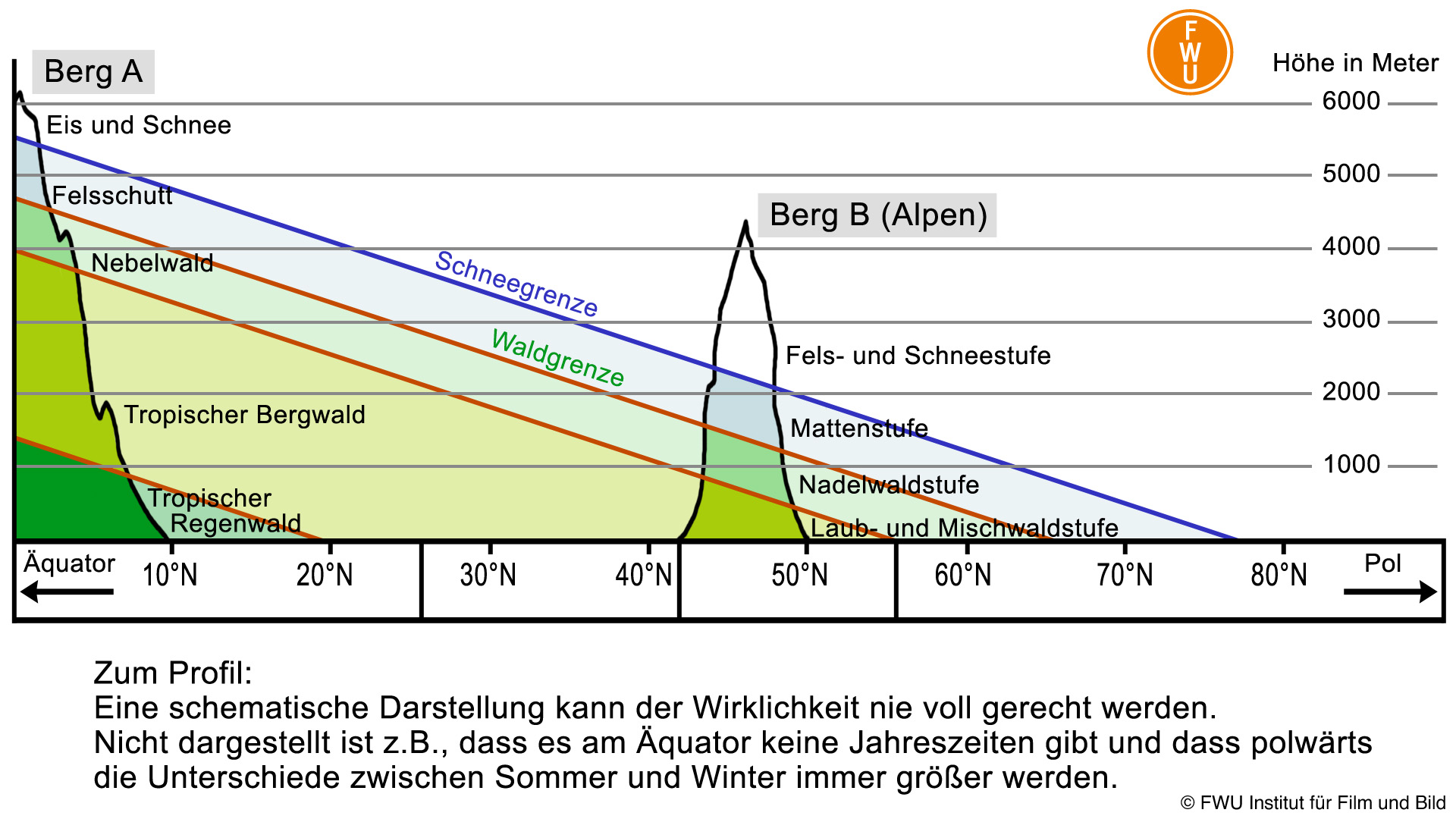 Profil der Höhenstufen vom Äquator zum Nordpol