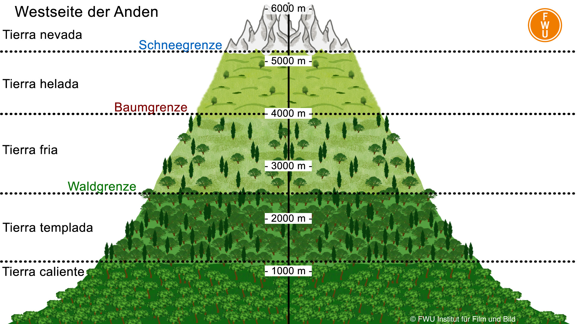 Die Höhenstufen in den Anden (Südamerika)