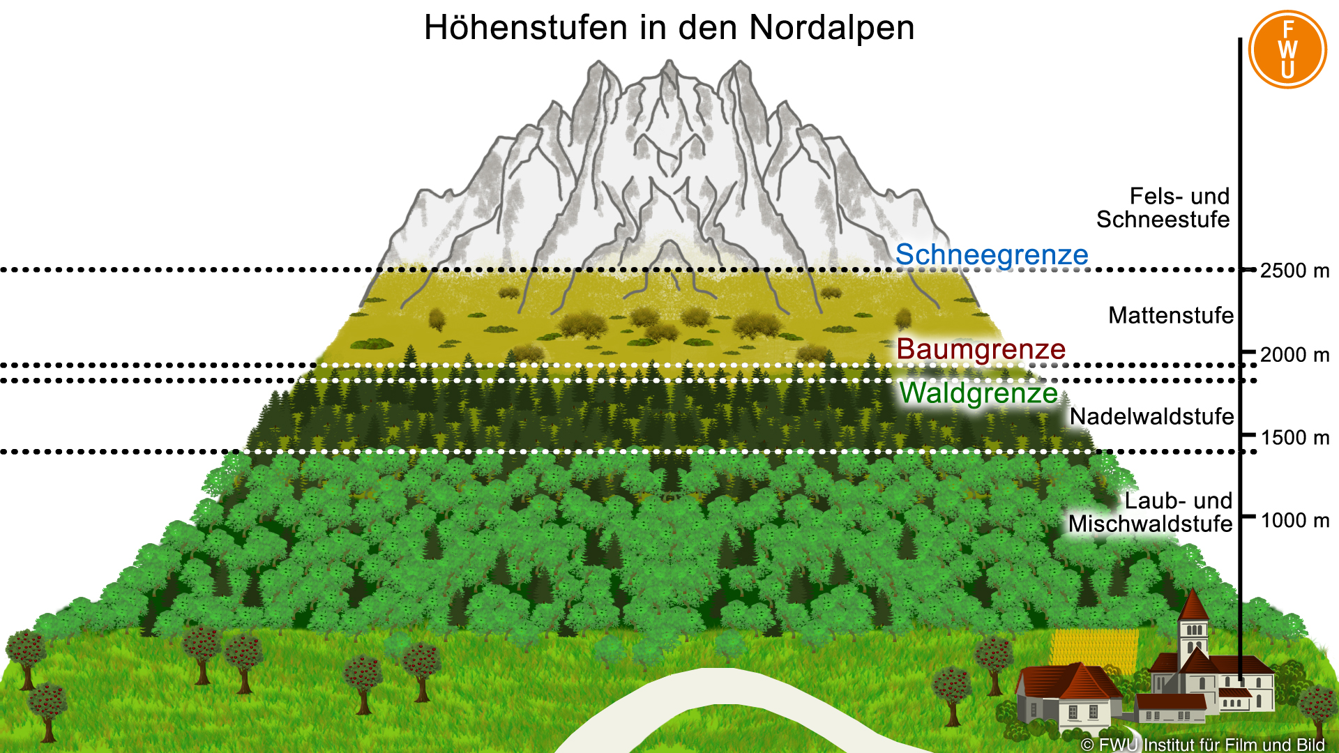 Höhenstufen in den Nordalpen  (mit Zusatzinformationen)