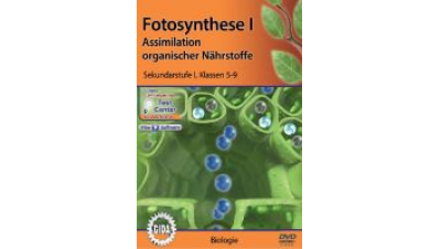 Verleihmedium Fotosynthese I – Assimilation organischer Nährstoffe Vorschaubild