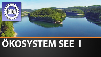 Verleihmedium Ökosystem See I Vorschaubild