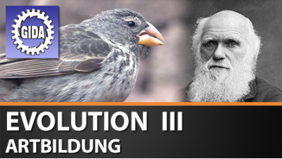 Verleihmedium Evolution III – Artbildung Vorschaubild