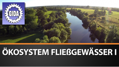 Verleihmedium Ökosystem Fließgewässer I Vorschaubild