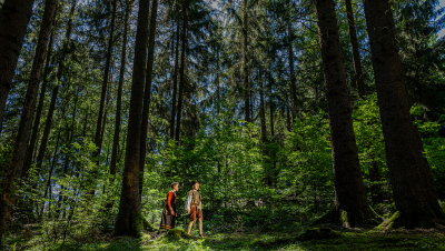 Verleihmedium Magie der Märchen: Hänsel und Gretel auf der Spur Vorschaubild