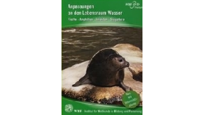 Verleihmedium Anpassungen an den Lebensraum Wasser Vorschaubild
