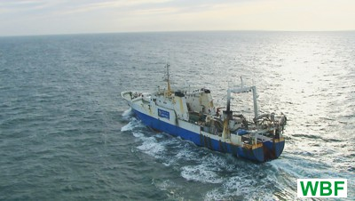 Verleihmedium Hochseefischerei im Atlantischen Ozean – Unterwegs mit einem Fabrikschiff Vorschaubild