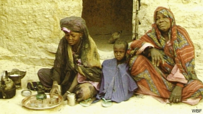 Verleihmedium Leben in der Sahara – Ein Dorf versinkt im Sand Vorschaubild