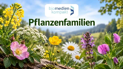 Cover: Paket "Pflanzenfamilien"